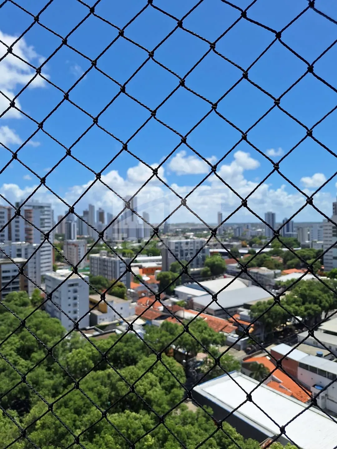 Apartamento, 3 quartos, 82 m² - Foto 4