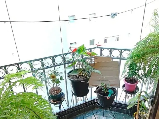 Apartamento 3 quartos e 2 banheiros, para alugar, no bairro Mooca em São Paulo
