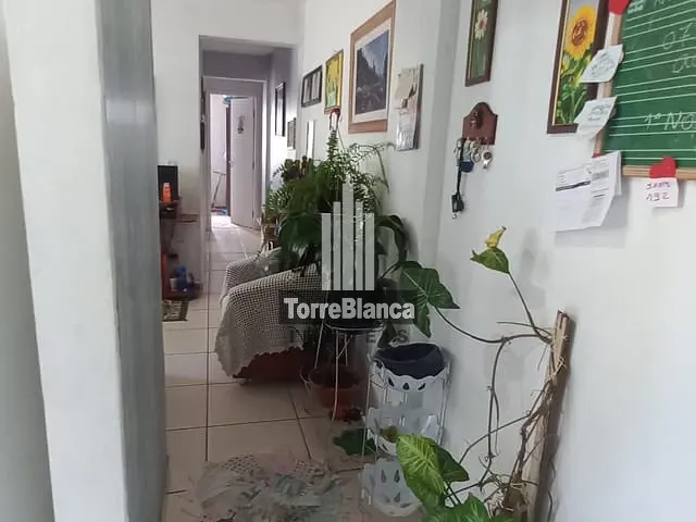 Apartamento 2 quartos e 1 banheiro, à venda, no bairro Uvaranas em Ponta Grossa