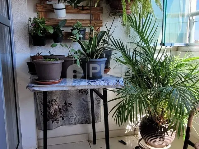 Apartamento 3 quartos e 2 banheiros, à venda, no bairro Jaçanã em São Paulo