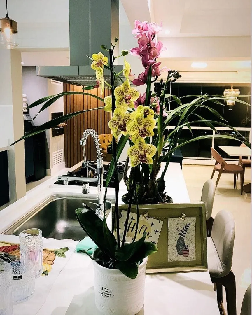 Apartamento, 3 quartos, 147 m² - Foto 2