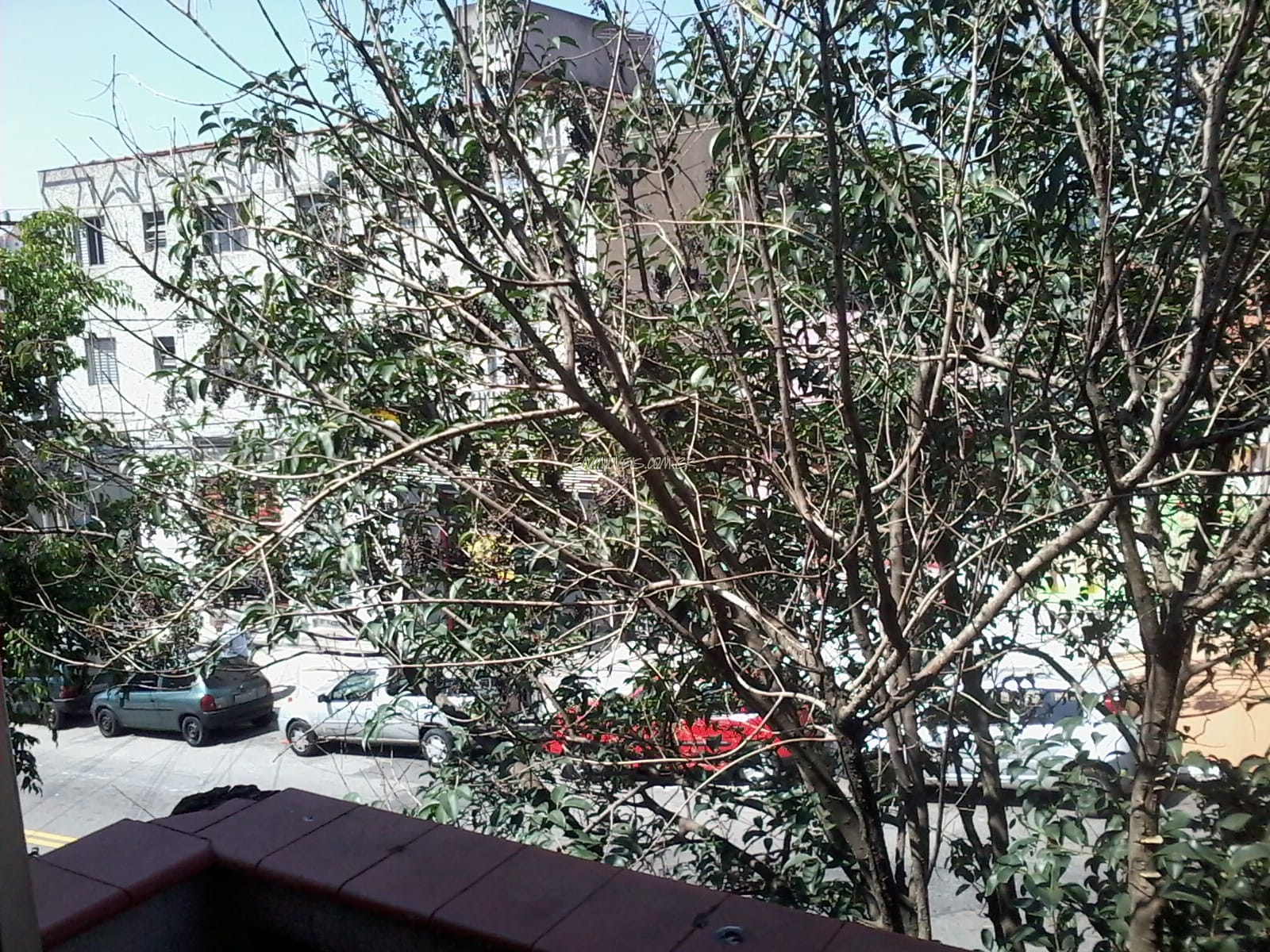 Apartamento, 2 quartos, 5000 m² - Foto 2