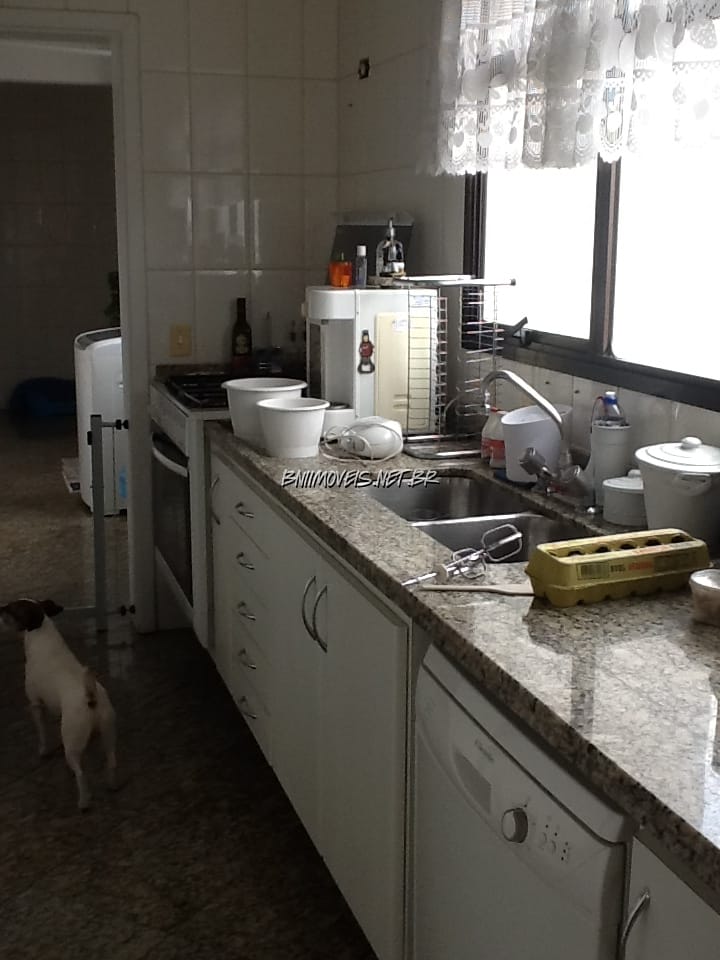 Apartamento, 4 quartos, 240 m² - Foto 11