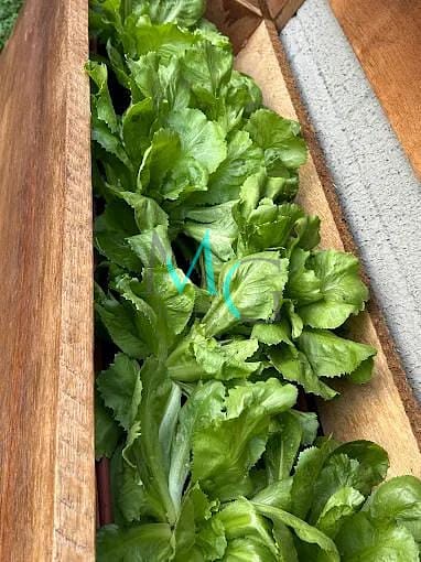 Apartamento, 2 quartos, 44 m² - Foto 28