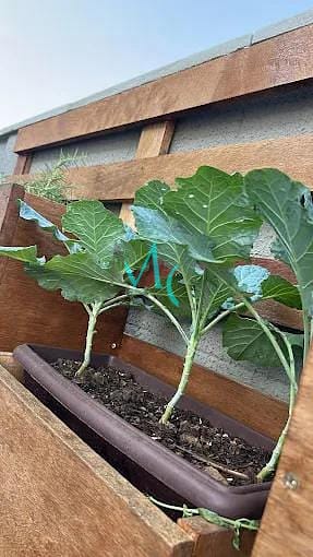 Apartamento, 2 quartos, 44 m² - Foto 27