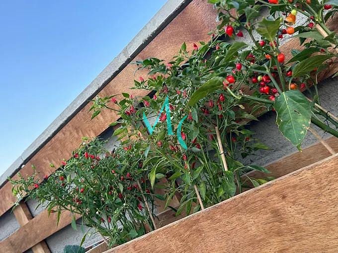 Apartamento, 2 quartos, 44 m² - Foto 26