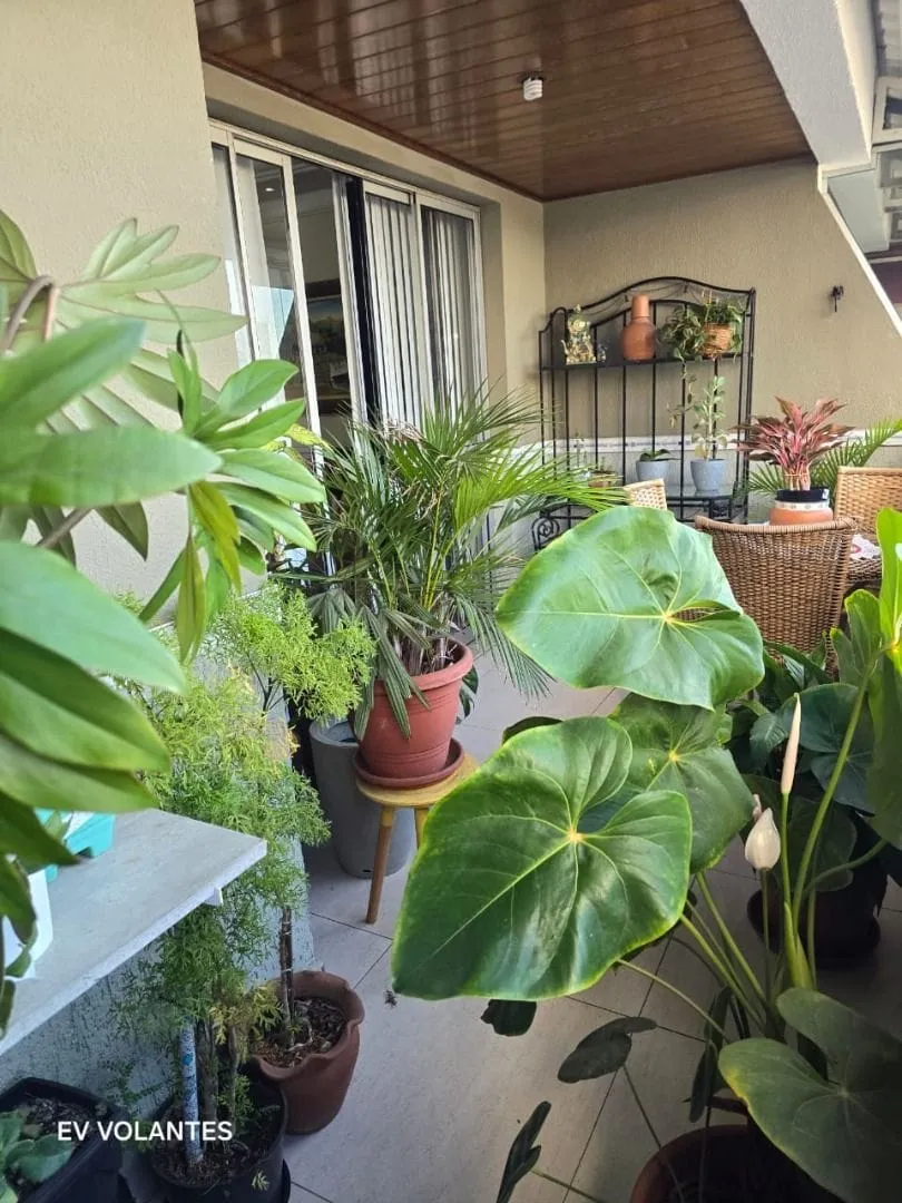 Apartamento, 4 quartos, 123 m² - Foto 3
