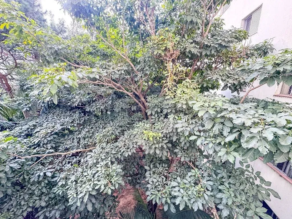 Apartamento, 3 quartos, 74 m² - Foto 46