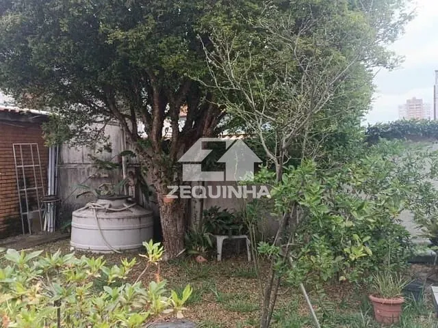 Casa com 350m² 4 quartos e 3 banheiros, à venda, no bairro Vl Yara em Osasco