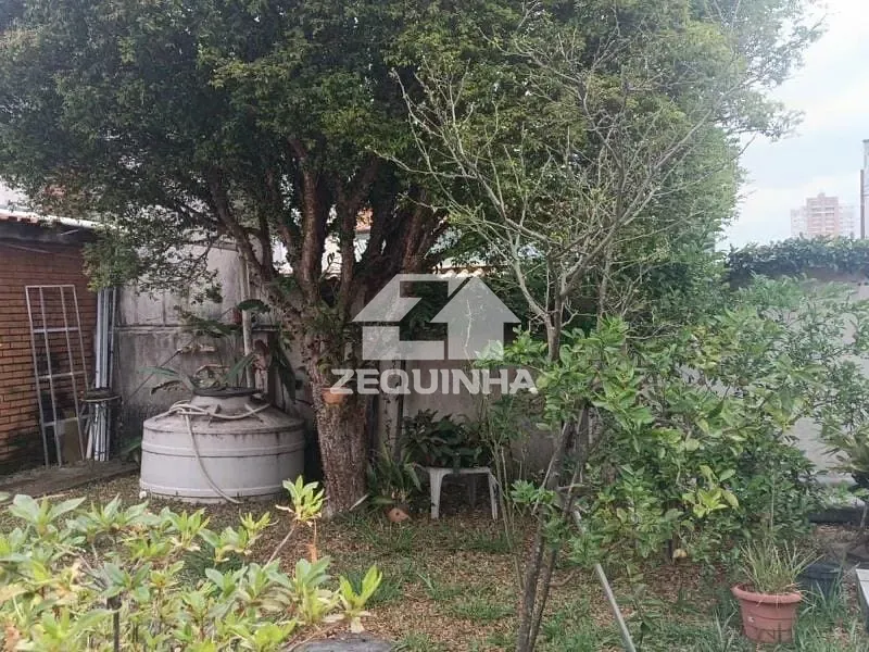 Casa, 4 quartos, 260 m² - Foto 3