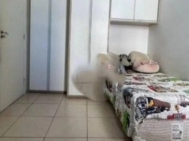 Apartamento com 10m² 3 quartos e 1 banheiro, à venda, no bairro Jardim América em São José Dos Campos