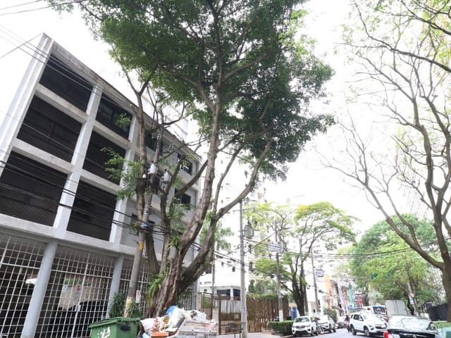 Foto do Apartamento - Apartamento tipo para venda com 2 quartos, 74m² | Lares e Andares Imóveis