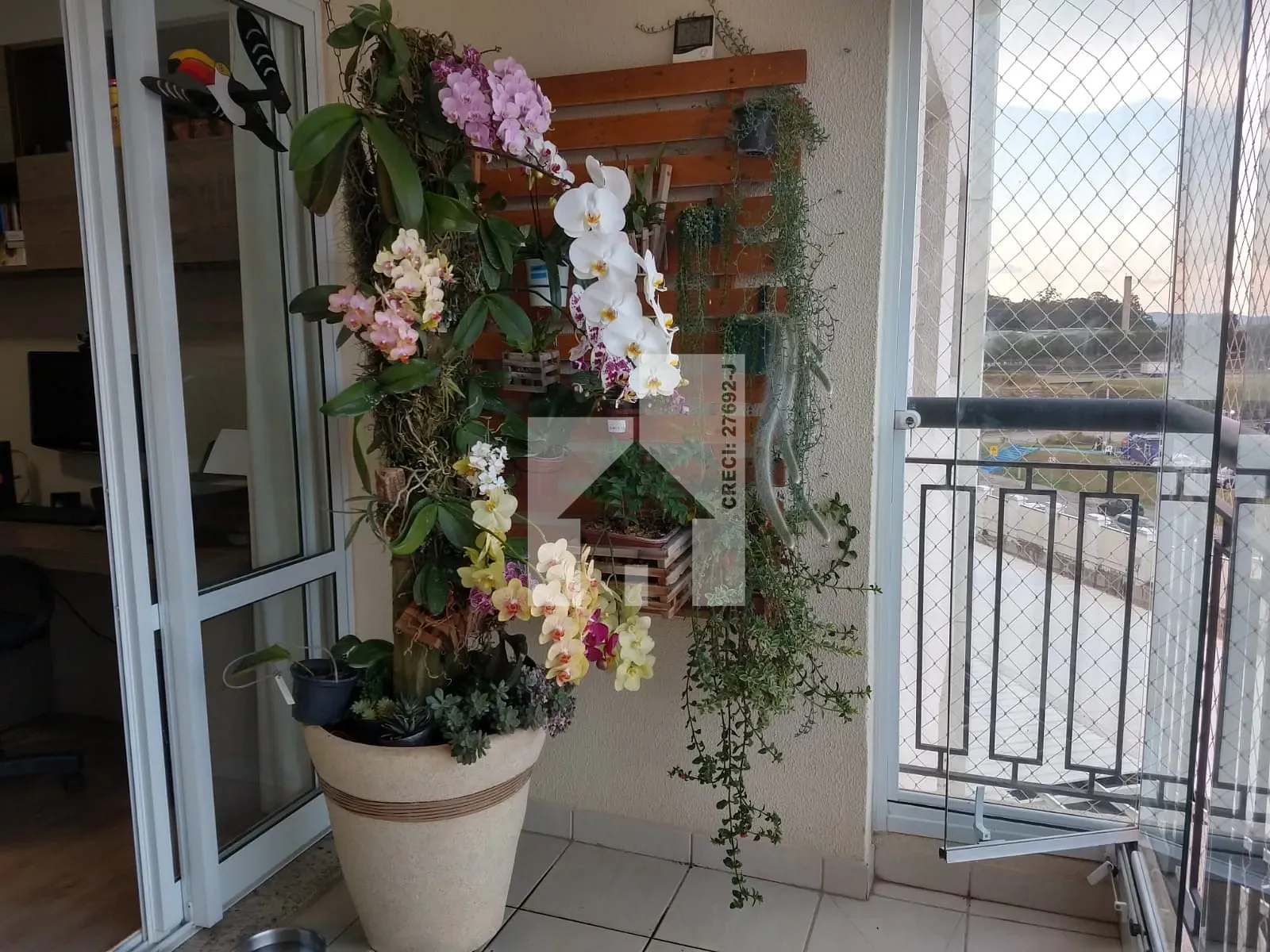 Foto 15