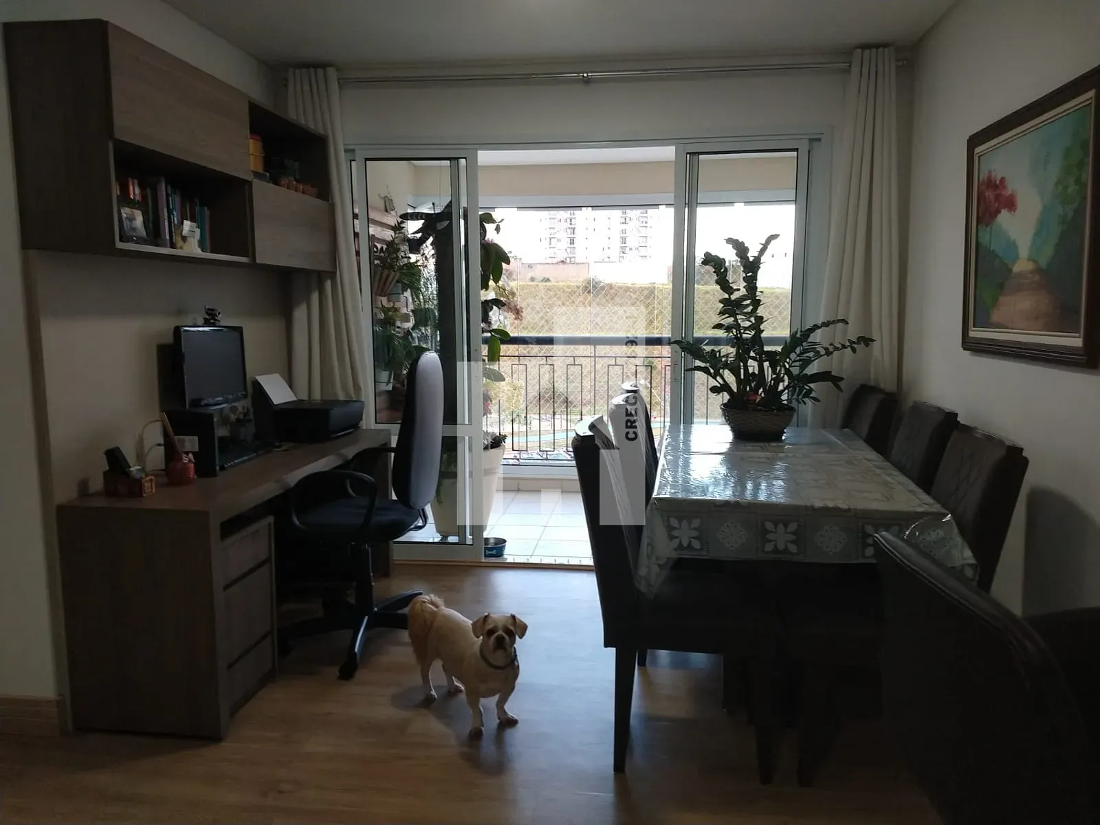 Foto 7