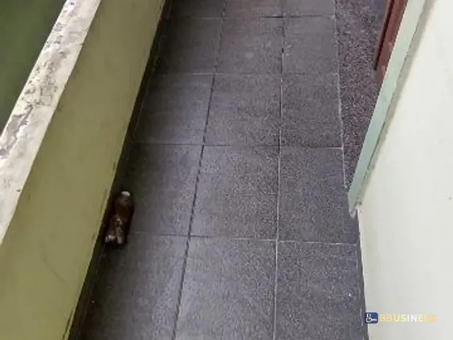 Apartamento 2 quartos e 1 banheiro, à venda, no bairro Parque Pecuária em Campos dos Goytacazes
