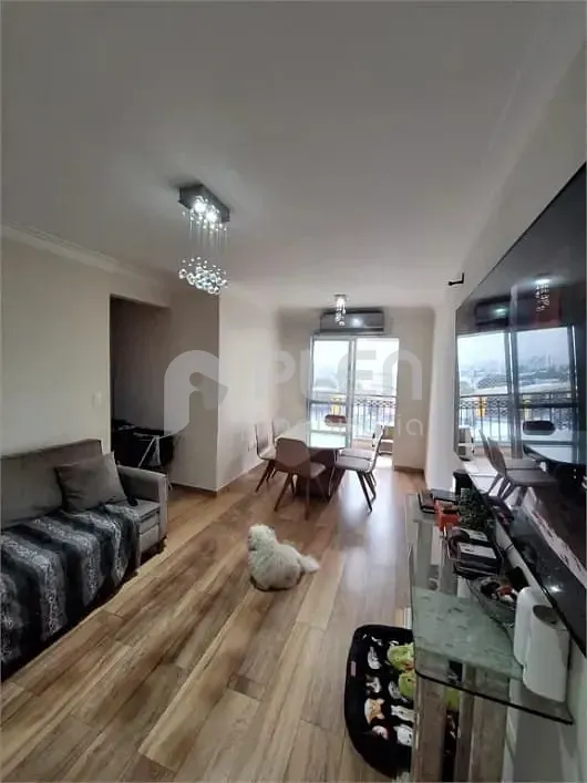 Apartamento de 3 quartos à venda em Vila Maria, São Paulo