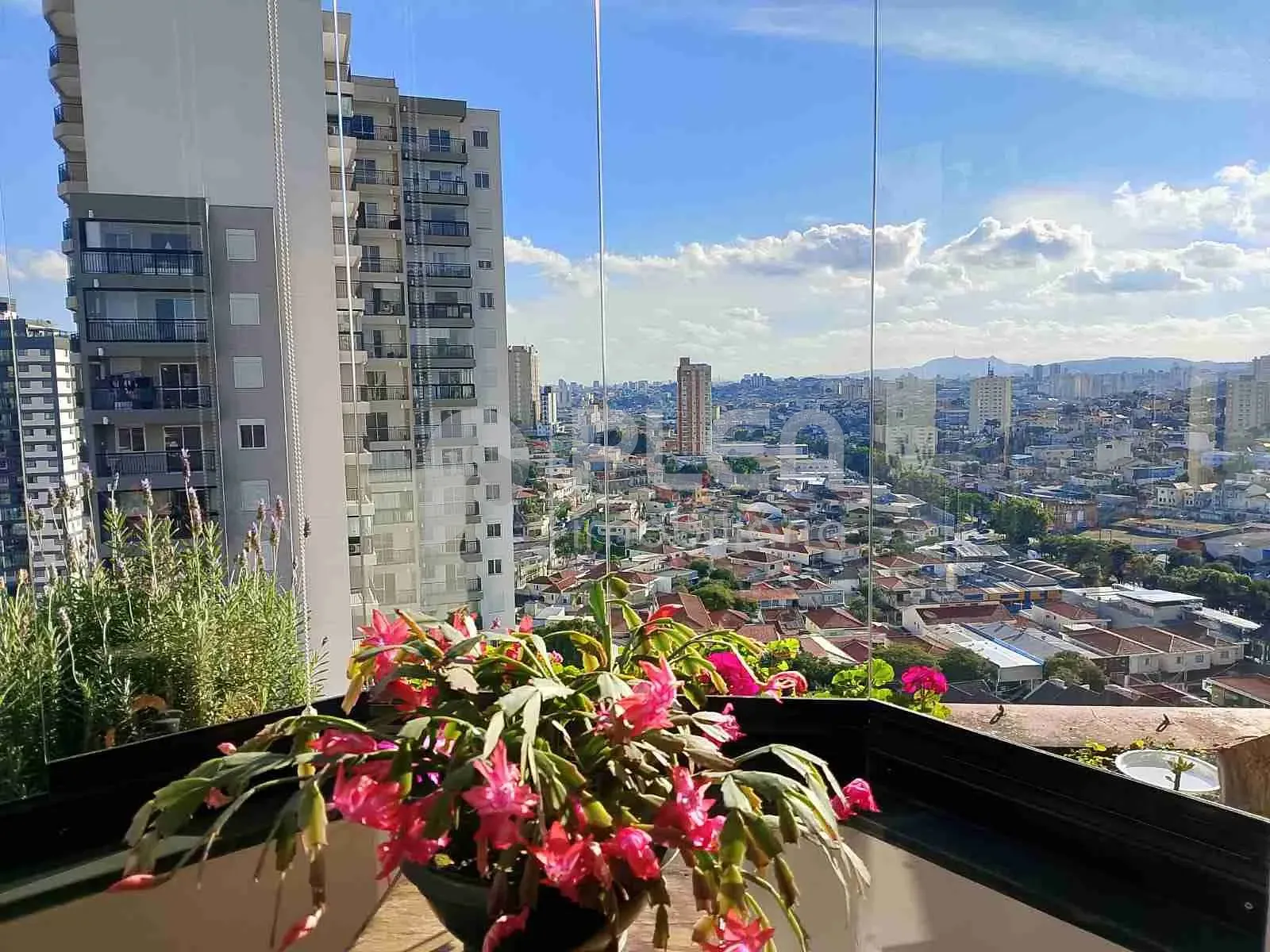 Apartamento de 3 quartos à venda em Santana, São Paulo