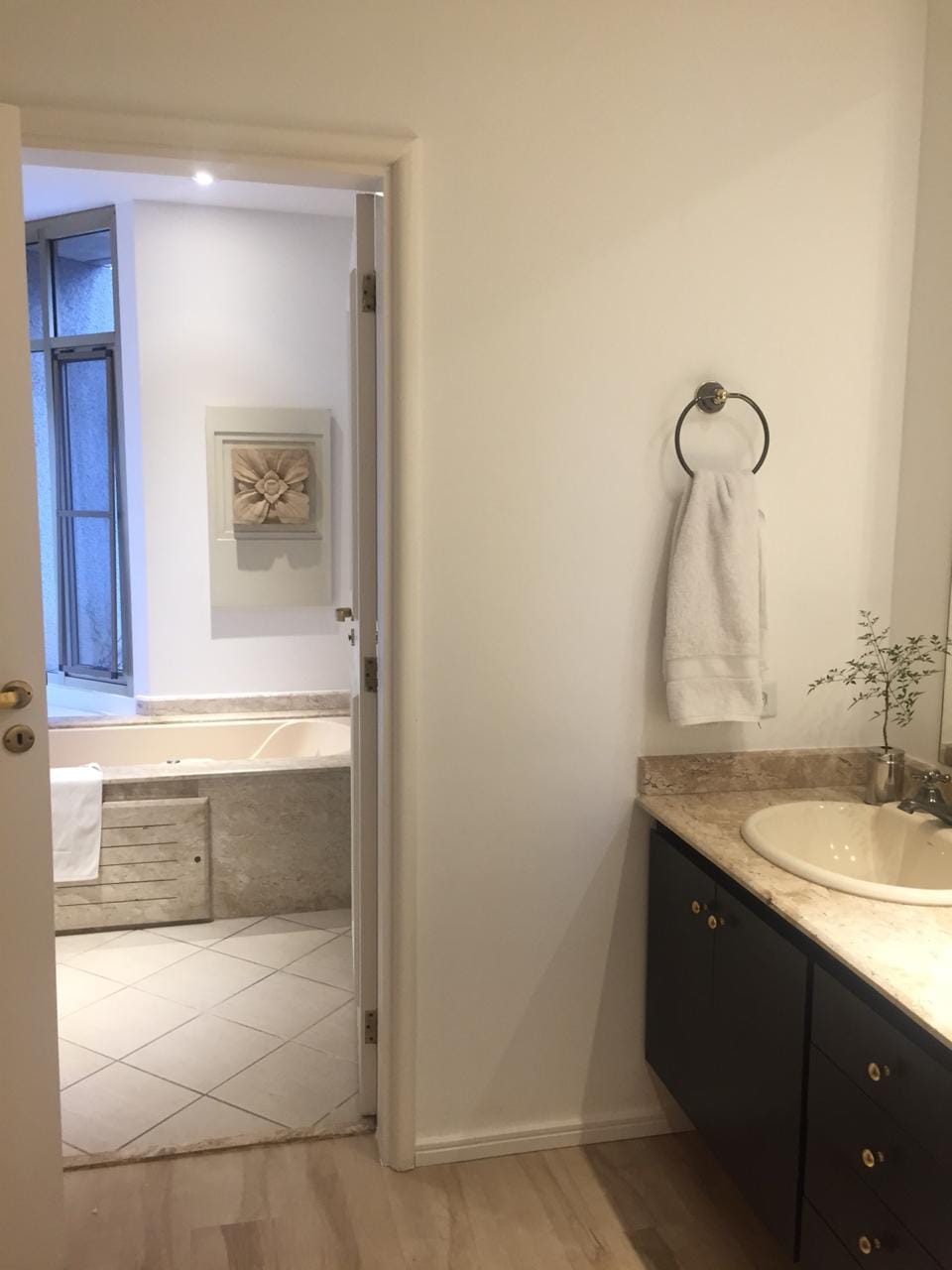 Apartamento, 3 quartos, 250 m² - Foto 13