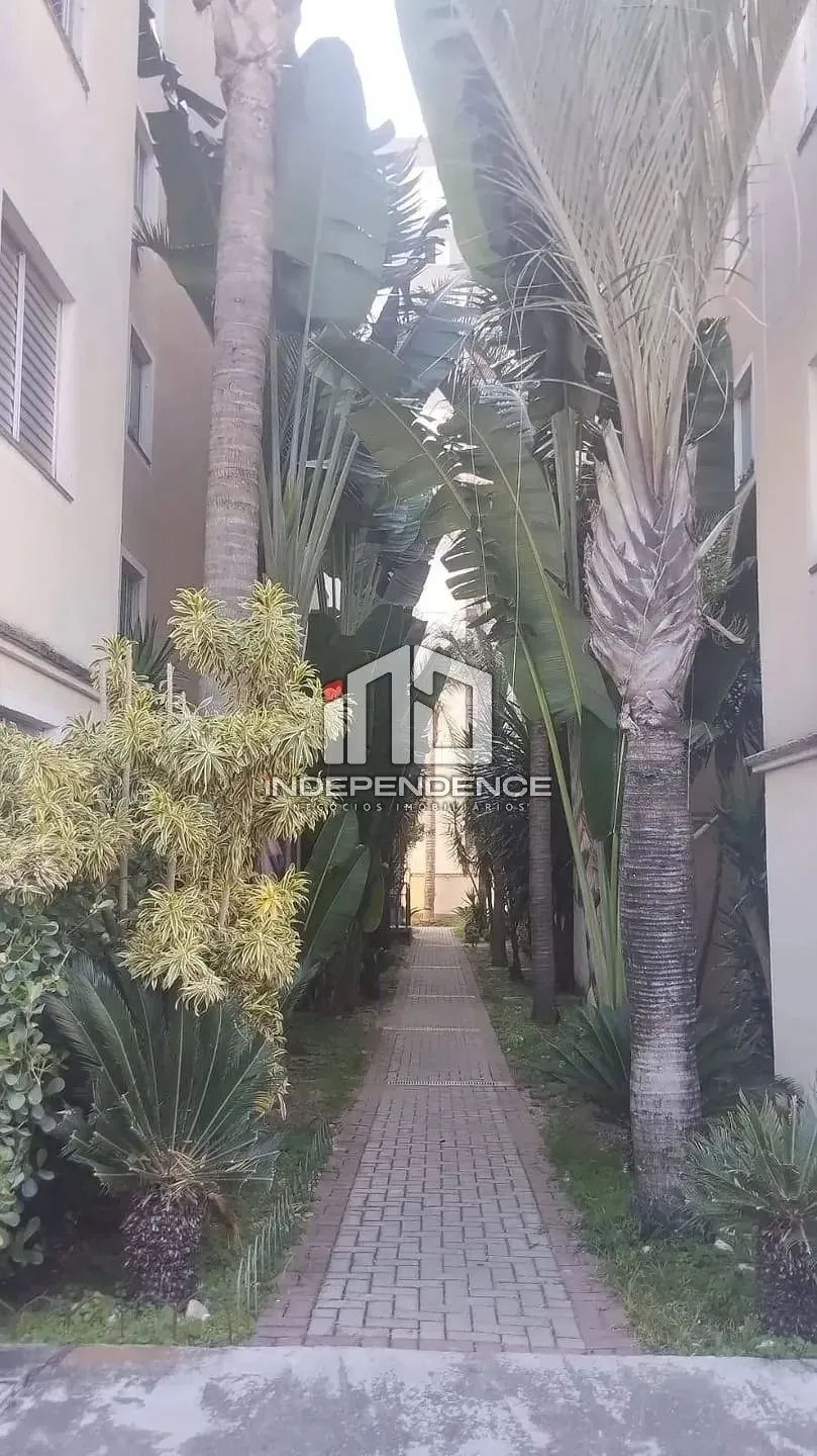 Apartamento, 3 quartos, 50 m² - Foto 13