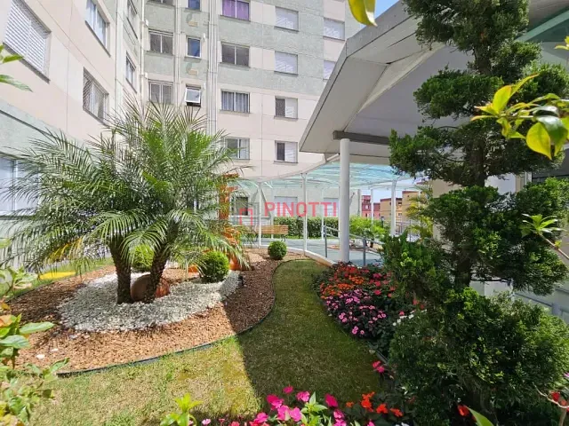 Apartamento 2 quartos e 1 banheiro, à venda, no bairro Santa Terezinha em São Bernardo do Campo