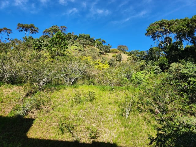 Foto do Apartamento - Apartamento para Venda ou Locação, CENTRO, PETROPOLIS - RJ | Immobile Administradora de Bens