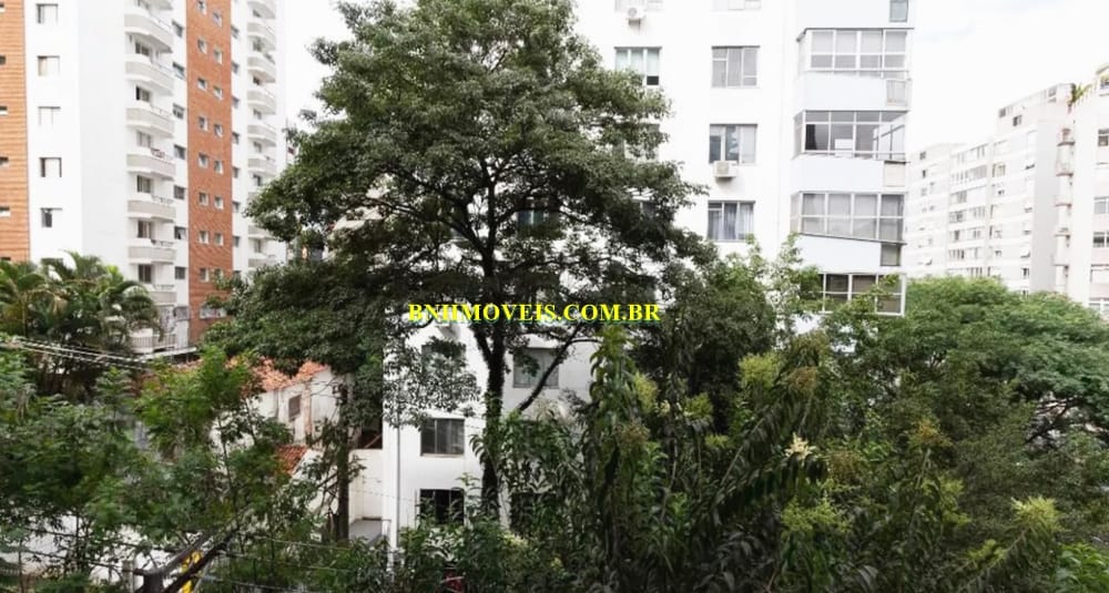 Apartamento, 3 quartos, 250 m² - Foto 1