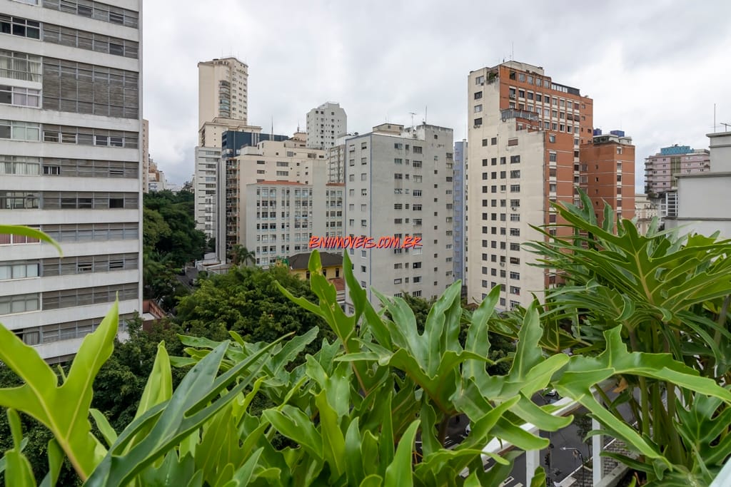 Apartamento, 3 quartos, 240 m² - Foto 10