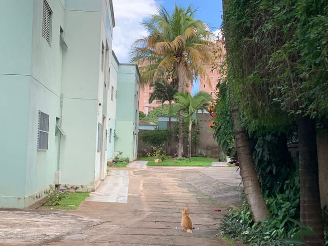 Foto do Apartamento - Apartamento à venda 2 Quartos, 55.5M², Centro, Uberaba - MG | Predio | ZUCATO IMOBILIARIA LTDA