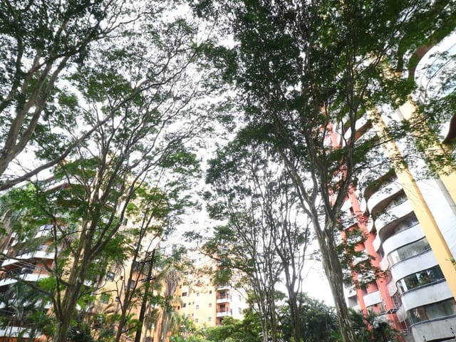 Foto do Apartamento - Apartamento tipo para venda em Vila Andrade com 3 quartos, sendo 2 suítes, 160m² | Lares e Andares Imóveis