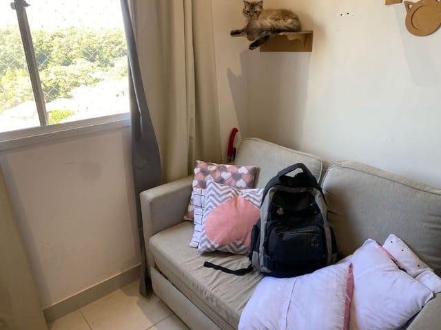 Apartamento 2 quartos e 1 banheiro, à venda, no bairro Cambuci em São Paulo