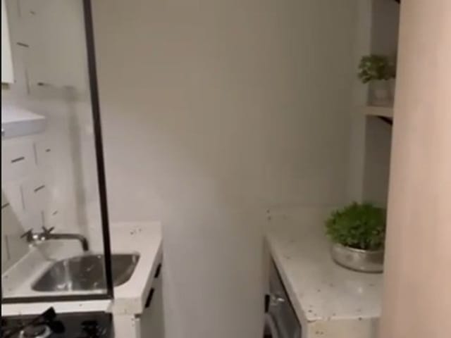 Apartamento 2 quartos e 1 banheiro, à venda, no bairro Residencial Parque da Fazenda em Campinas