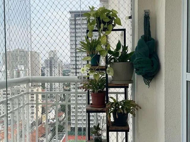 Apartamento 2 quartos e 1 banheiro, à venda, no bairro Vila Leopoldina em São Paulo