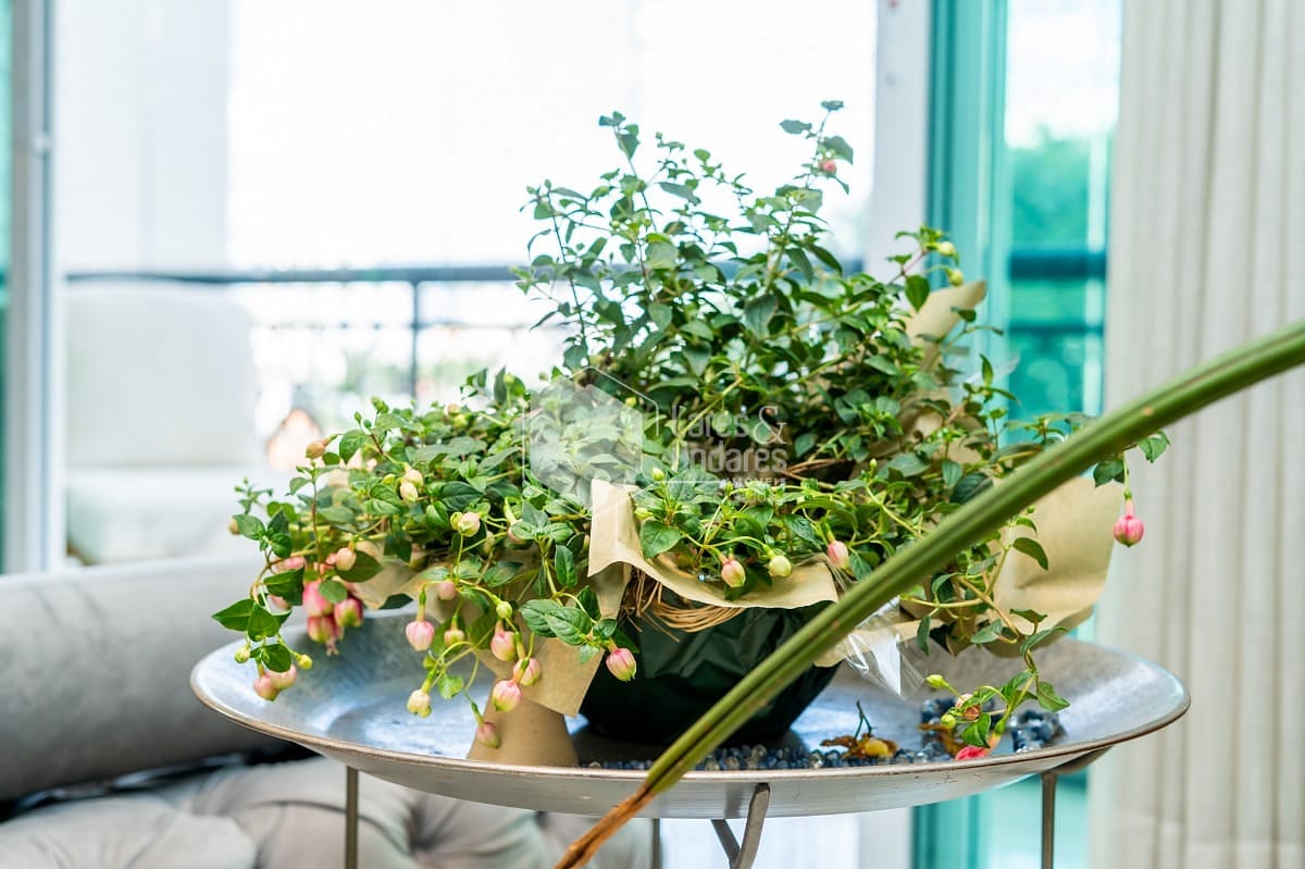 Apartamento, 4 quartos, 215 m² - Foto 25