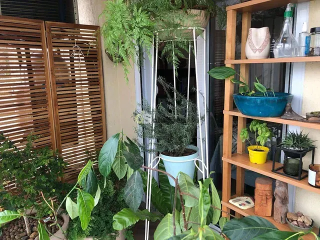 Apartamento 3 quartos e 5 banheiros, à venda ou para alugar, no bairro Lapa em São Paulo