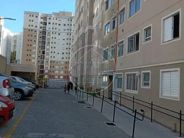 Apartamento 2 quartos e 1 banheiro, para alugar, no bairro vila Andrade em São Paulo