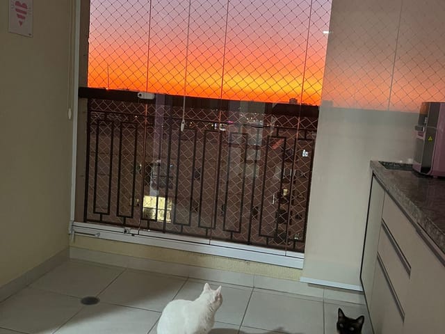 Foto do Apartamento - Apartamento à venda 3 quartos sendo 1 suíte e 2 vagas cobertas -Jardim Ermida I, Jundiaí, SP | Copette Imóveis