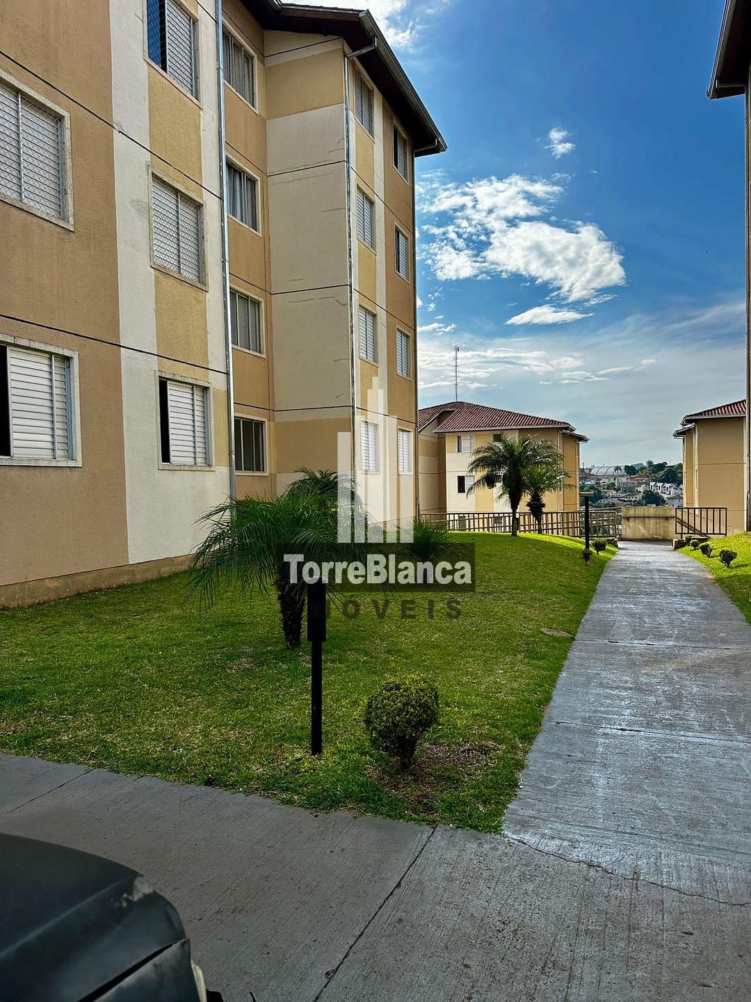 Apartamento à venda com 3 quartos, 56m² - Foto 1