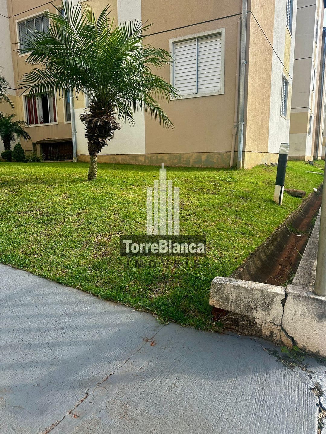 Apartamento à venda com 3 quartos, 56m² - Foto 12