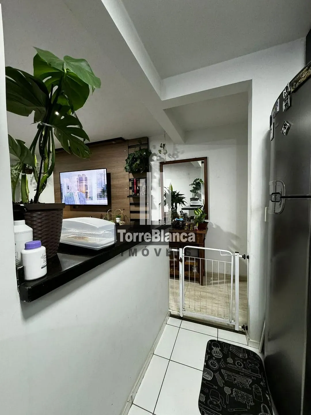 Apartamento, 2 quartos, 55 m² - Foto 3