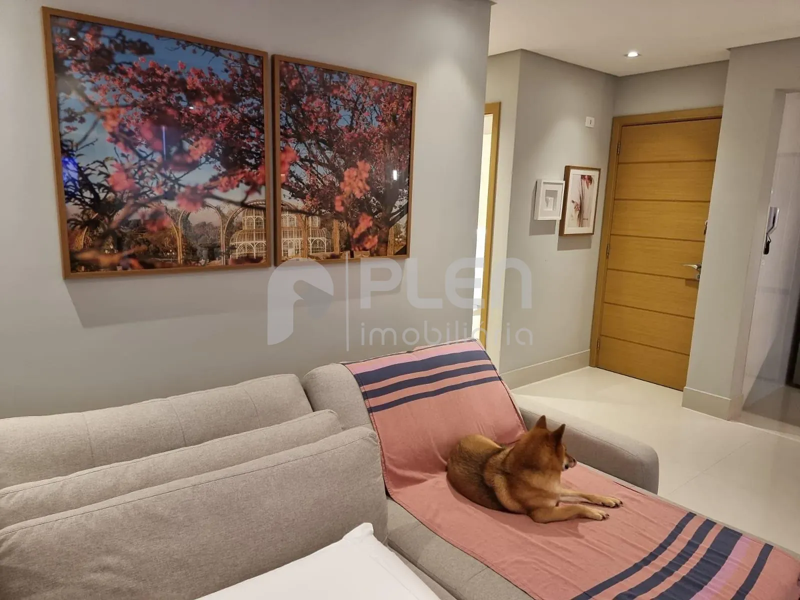 Apartamento de 2 quartos à venda em Santana, São Paulo