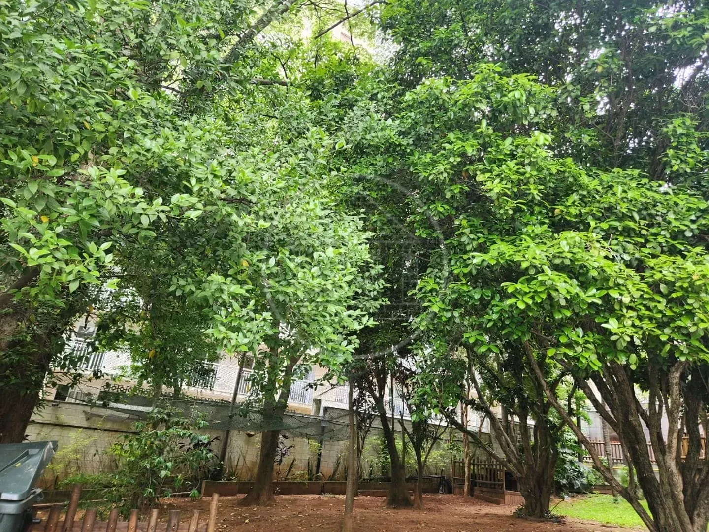Apartamento, 2 quartos, 69 m² - Foto 24