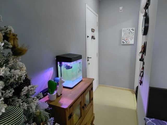 Apartamento 2 quartos e 1 banheiro, à venda, no bairro Vila Metalúrgica em Santo André