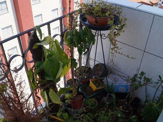 Foto do Apartamento - Apartamento  residencial para locação, Tatuapé, São Paulo. | ZONA LESTE IMÓVEIS