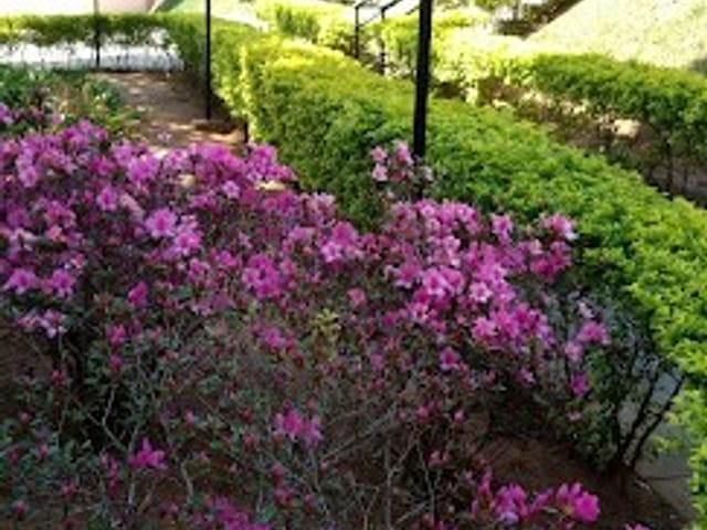 Foto do Apartamento - Apartamento à venda, Parque Residencial Eloy Chaves, Jundiaí, SP | Copette Imóveis