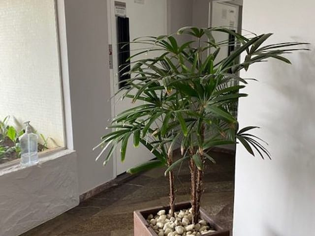 Apartamento 3 quartos e 3 banheiros, à venda, no bairro Planalto Paulista em São Paulo