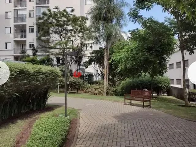 Apartamento 3 quartos e 1 banheiro, à venda, no bairro Vila Ivone em São Paulo