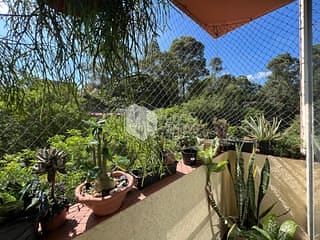 Foto do Apartamento-Apartamento tipo para venda em Parque Munhoz com 3 quartos, 71m²