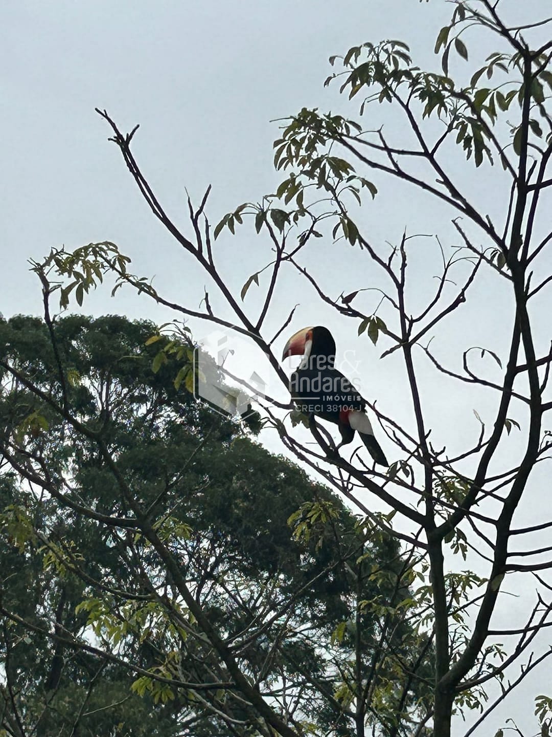 Apartamento, 2 quartos, 53 m² - Foto 51