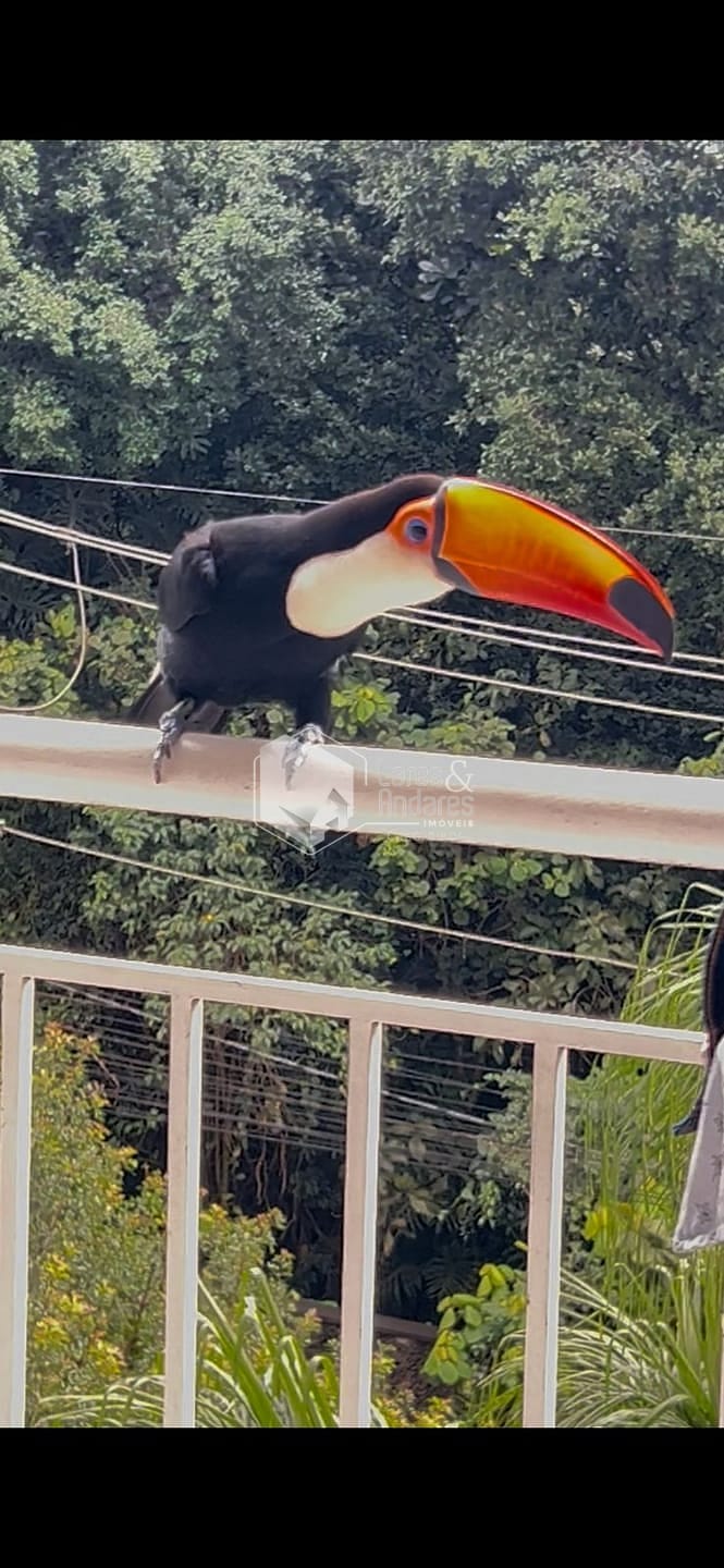 Apartamento, 2 quartos, 53 m² - Foto 50