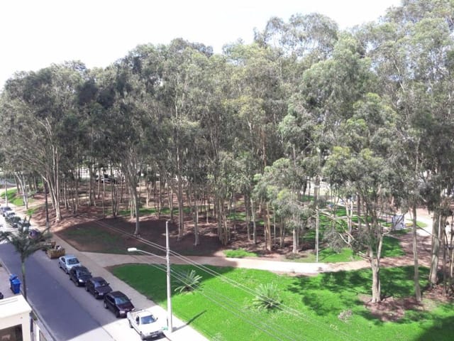Foto do Apartamento - Edifício L`essence 360m² 4 suítes, 4 vagas, sacada com churrasqueira em frente a praça principal do Aquarius! | RUSSI IMÓVEIS